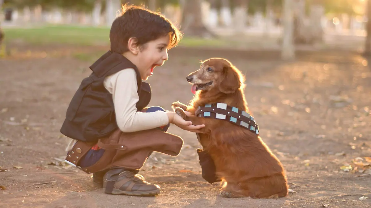 Kid and dog